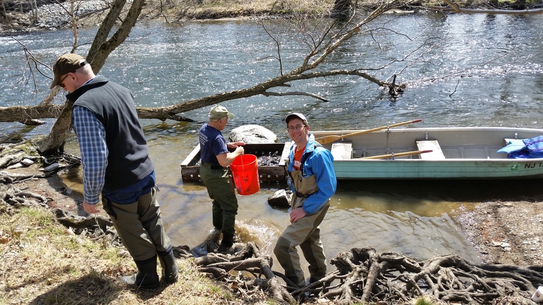 Trout Stocking East Jersey Trout Unlimited
